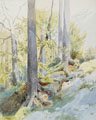 KatNr 037   Ernst Erwin Oehme, Waldstück / "Martinskapelle in Meißen". Vor 1885.