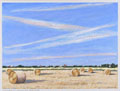 KatNr 572   Ulrich Eisenfeld "Sommerfelder bei Ladenburg unter Kondensstreifen". 2003.