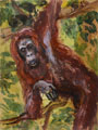 KatNr 442 Hans (Johann) Clar "Afrik.[anisches] Nashorn" / "Leopard" / "Giraffen" / "Orang Utan" / "Zebras". 1st half 20th cent.