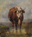 KatNr 205   Friedrich Gauermann, Kuh in der Furt. Wohl 1830er/ 1840's.