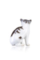 KatNr 717 Miniatur-Katze. Wohl Johann Joachim Kändler (und Mitarbeiter) für Meissen. Wohl 1750's