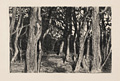 KatNr 379   Walter Leistikow, Baumgruppe / Waldsee / Das Haus. 1896– 1900.