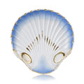 KatNr 616 Außergewöhnliche Muschelschale. Meissen. 1824– 1850.