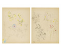 KatNr 363 Arno Drescher, 11 botanische Studien. Wohl 1930's.