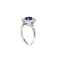 KatNr 597 Weißgold-Entourage-Ring mit Saphir-Solitär und Diamanten.