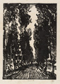 KatNr 220 Siegfried Berndt, Boote am Blauen Wunder, Dresden / Allee / Bewaldete Landschaft / Alter Baum im Schnee / Karge Landschaft. 1910er-1920's.