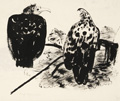 KatNr 250&nbsp;&nbsp; Josef Hegenbarth "Zwei Greifvögel (Geier und Adler)". Um 1940.