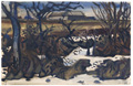 KatNr 560&nbsp;&nbsp; Curt Querner "Dunkler Januartag (Gebüsch vor Häusern)". 1960.