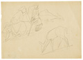 KatNr 478 Josef Hegenbarth "Illustration zu: de Coster 'Smetse Smee' " / Drei Skizzenblätter. 1960 / wohl 1950's.