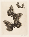 KatNr 355&nbsp;&nbsp; Richard Müller "Vier Schmetterlinge". 1899.