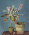 KatNr  Willy Wolff, Stillleben mit Echeveria, Säulenkaktus und Glaskugel. Um 1935.