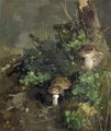 KatNr  Willy Kriegel, Waldbodenstück mit Pilzen. Wohl späte 1930's.