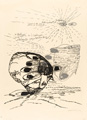KatNr 431&nbsp;&nbsp; 