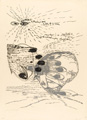 KatNr 431 