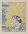 KatNr 381&nbsp;&nbsp; 